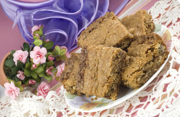 Coconut Pecan Blondies with Feminine Presentation