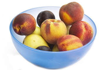 Frutta 1 9 09