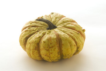 Zucca - Cucurbita maxima