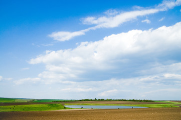 Naklejka premium Landscape green filed the blue sky and white clouds