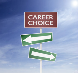 Fototapeta premium direction sign and board with career choise way
