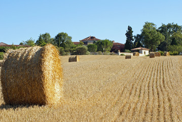 exploitation agricole du sud-ouest # 03