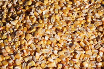 Kernels of Corn