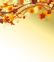 Fototapeta premium autumn