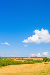 Obraz premium Feld nach der Ernte