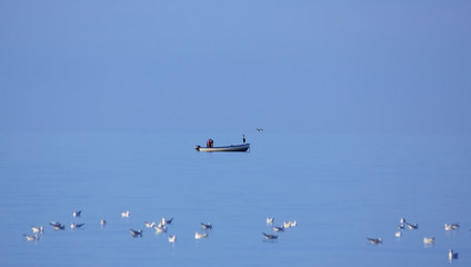 Fischer mit Fischreihern in einem Boot