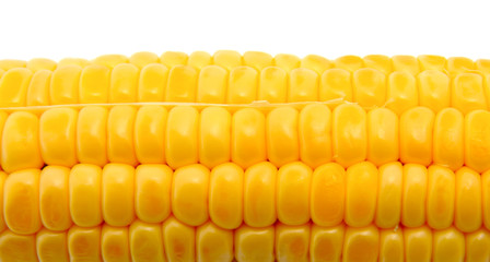 Corn isolated on white