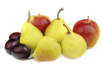 Fruit