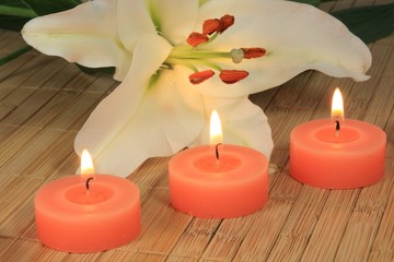 Lilie mit Kerzen