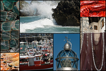 Cosas de la pesca.