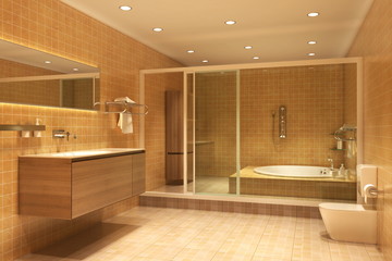 Fototapeta na wymiar 3d rendering interior of a bathroom