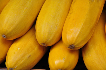 yellow courgette