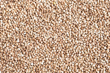 buckwheat