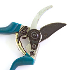 garden scissors