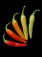 red hot chili peppers