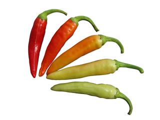 red hot chili peppers