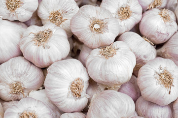 background with garlic