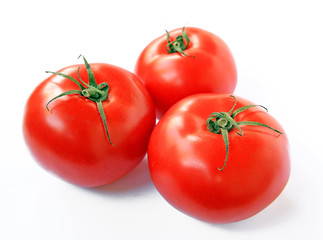 tomatoes on white background