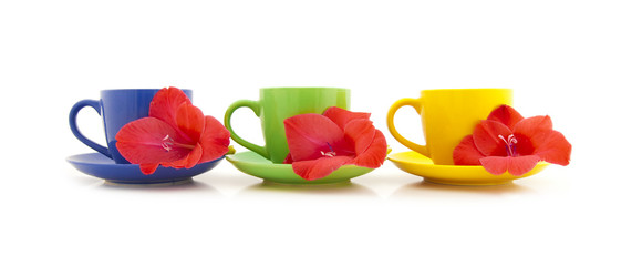Beautiful tea cups with flowers on a white background