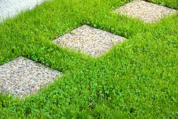 Path in lawn