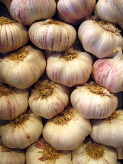 Knoblauch
