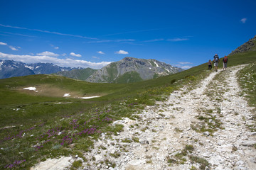 Valle Grana