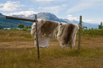 Skins and furs