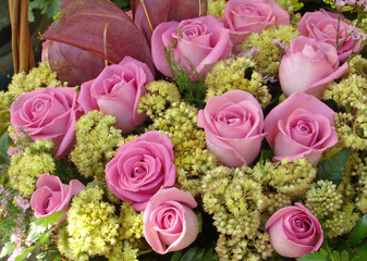 basket of pink roses