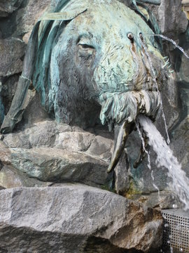 Walross vom Zentaurenbrunnen