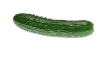 Green cocumber on white background