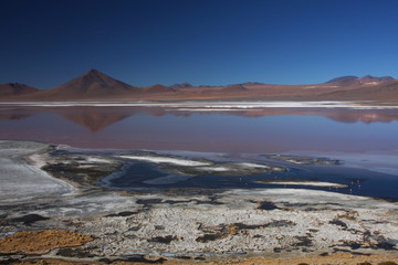 Paysage de la Laguna Colorada