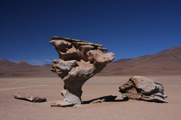 Fototapeta na wymiar Arbre de Pierre dans le désert