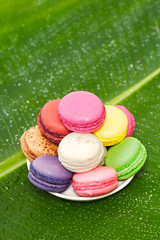 Macarons des îles