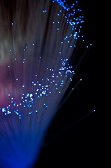 Optical fibers