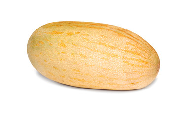 netted melon