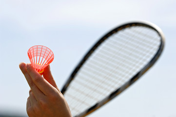 Speedminton