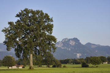 Naklejka premium landschaft