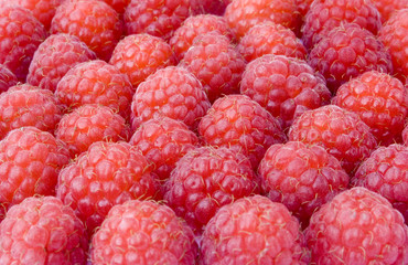 raspberries