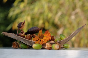 Herbstelemente