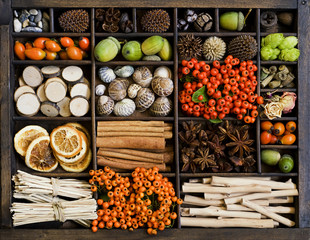 herbstliches im Setzkasten