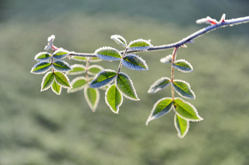 winter