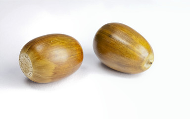 Two Acorns
