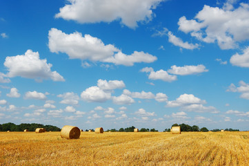 Golden field with hay bales against a picturesque cloudy sky