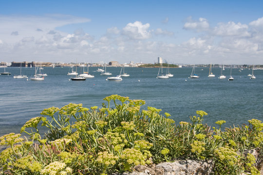 Port Louis 513