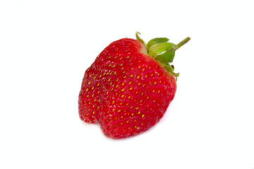 fresa en fondo blanco