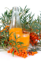 Sanddorn Saft - sallow thorn juice 07