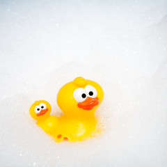 Rubber Duck