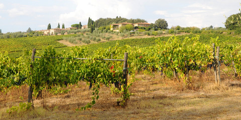 Chianti Classico