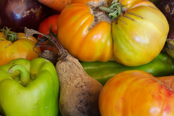 Légumes biologiques