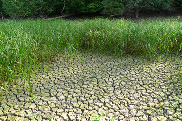 Ausgetrockneter See